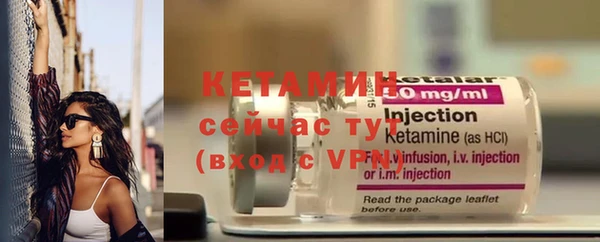 индика Богданович