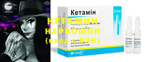 индика Богданович