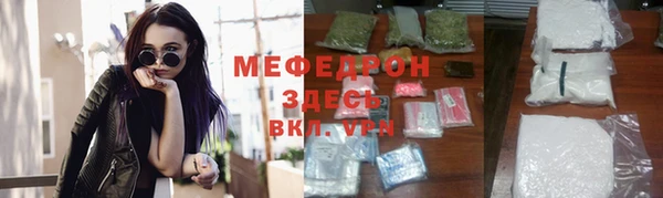 индика Богданович