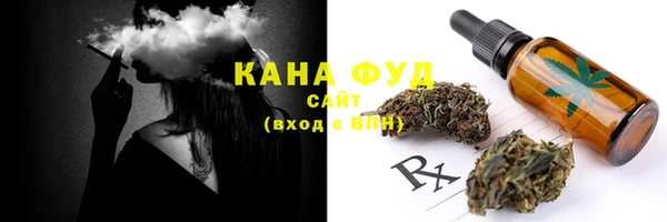 индика Богданович