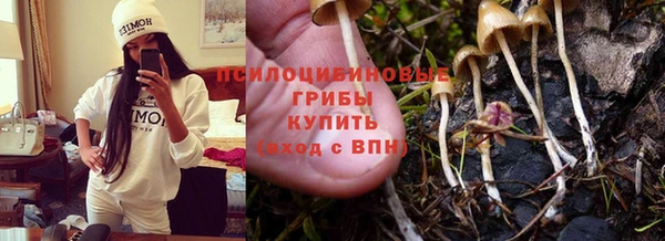 МДМА Протвино