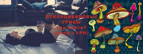 индика Богданович