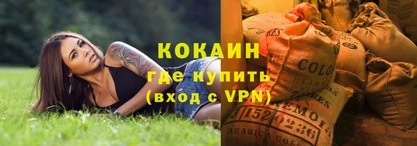 индика Богданович