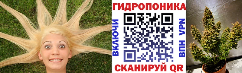 дарнет шоп  Благодарный  Канабис семена 